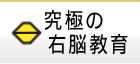 究極の右脳教育